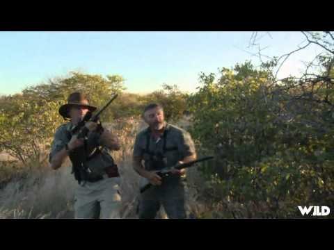 Safari Hunters Journal - SAAM