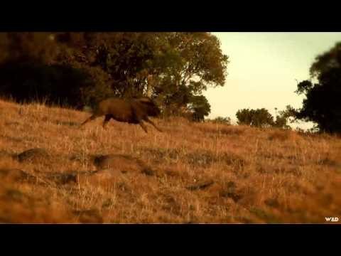 Aim On Africa - Season Finale