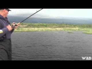 Fishful Thinking - Lucky Bug Bass and Moonshine Pike