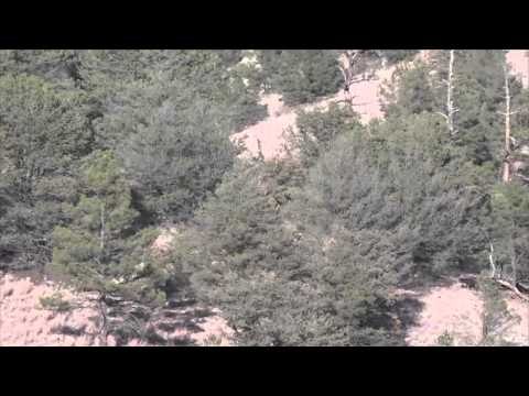 Extreme Desire TV - New Mexico Oregon Elk Hunt