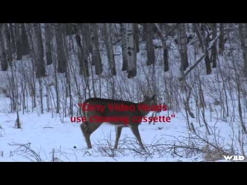 The Canadian Guide Life - Saskatchewan Whitetails