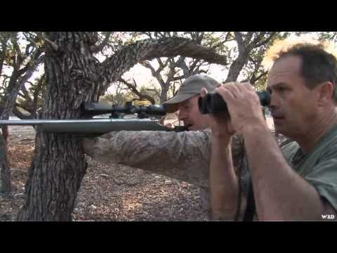 Northwest Hunter - Rio Bonita Sheep Slam Part 2