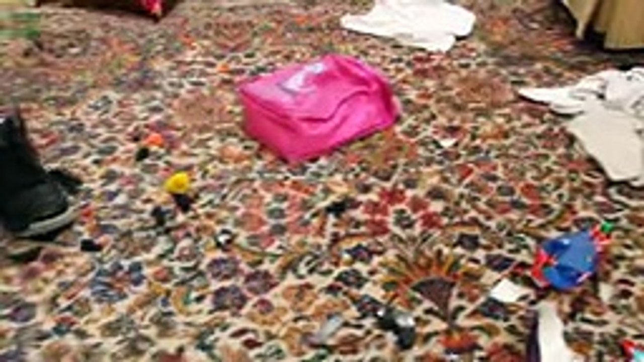 Funny Guilty Dogs video-