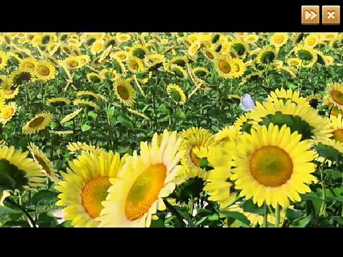 Развивающий мультфильм для детей. Маша и медведь. Маша ловит бабочек. Для малышей