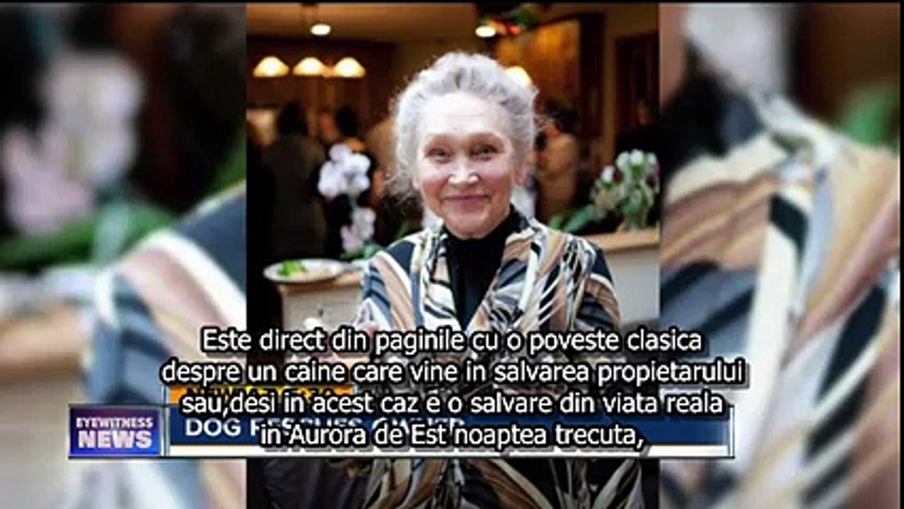 Câinele care a salvat viața stăpânei lui! Este un adevărat erou!