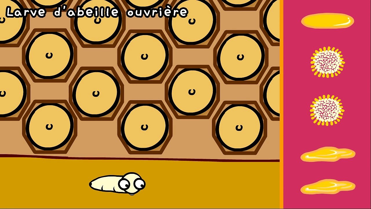 Le secret des abeilles - Dessin animé éducatif Genikids