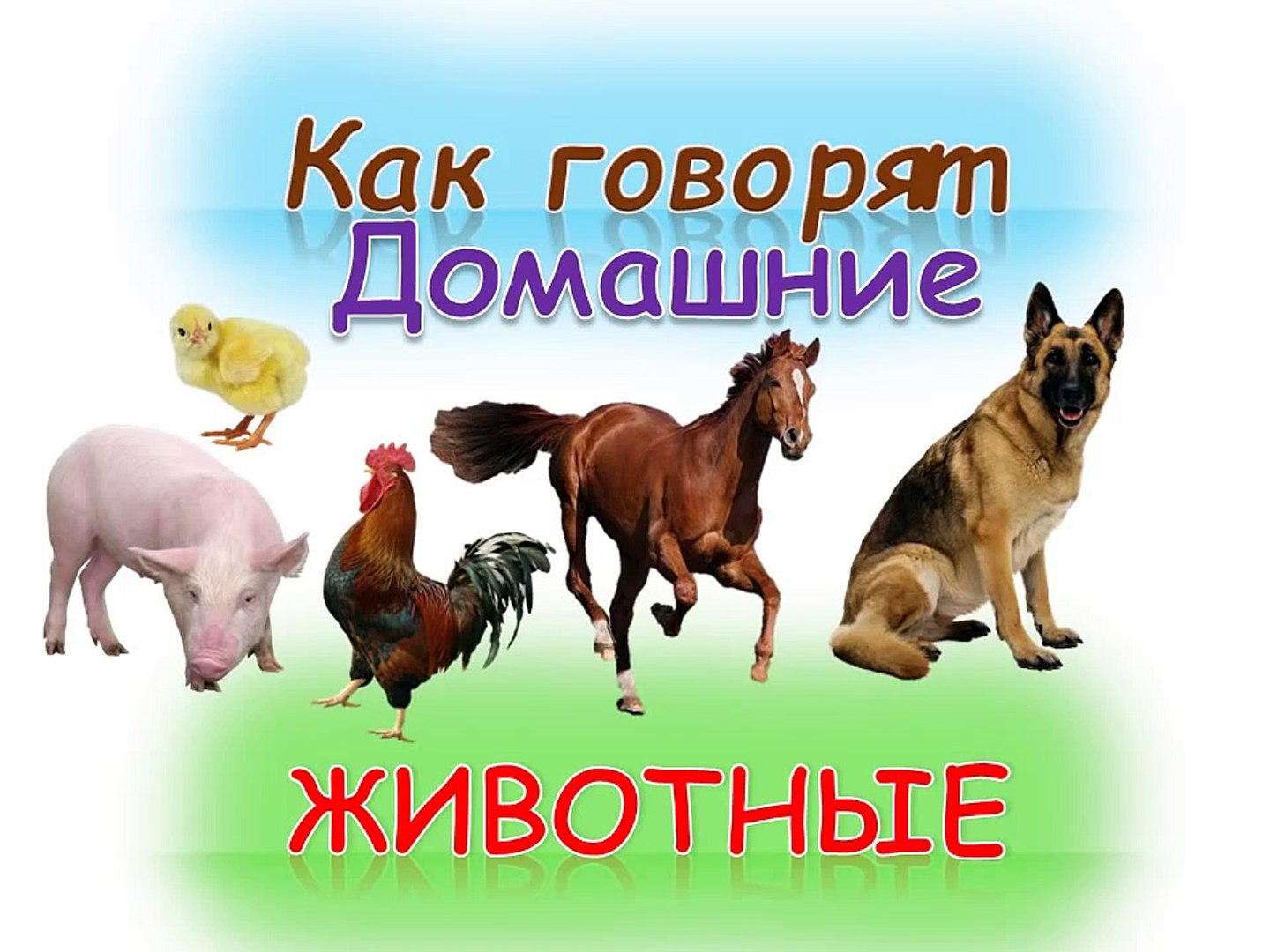 Развивающий мультик для детей Как говорят домашние животные(кто как делает)Как говорят животные