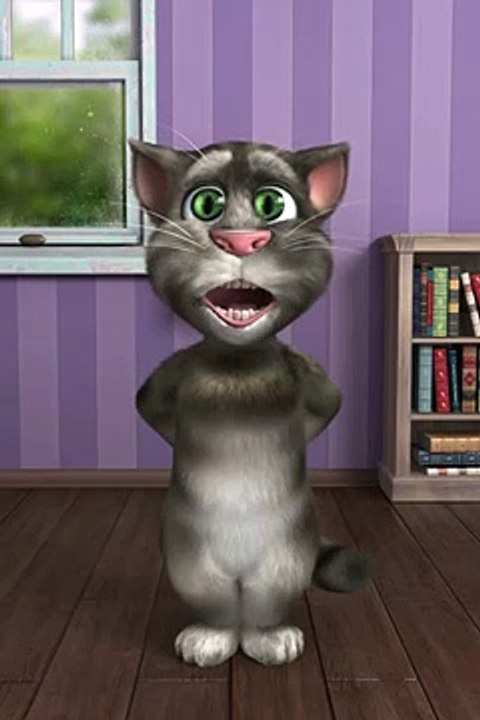 Talking Tom Funny Videos Funny Punjabi, urdu Clip Cat Funny Cats Talking, mere dil ki dunya main