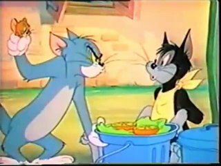 tom and jerry punjabi fighting funny punjabi song  punjabi cartoon