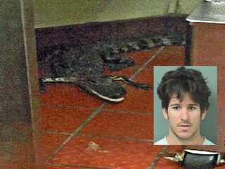 Man accused of tossing gator out of jail