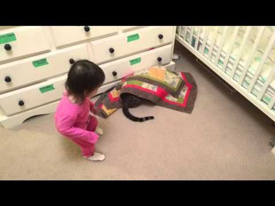 Hide and Seek with Bengal Cat and Baby