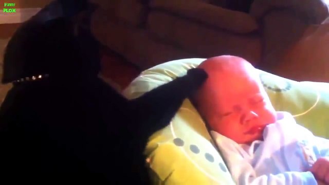 ЗАБАВНЫЕ Малыши и котики ! КЛАССНАЯ подборка! FUNNY VIDEOS Funny Cats