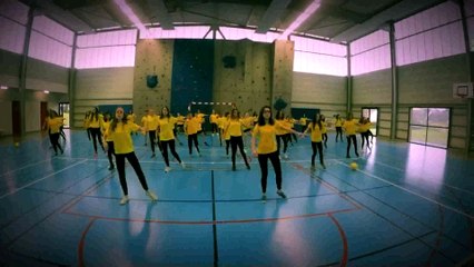 flashmob SAINT MARS LA JAILLE euro 2016