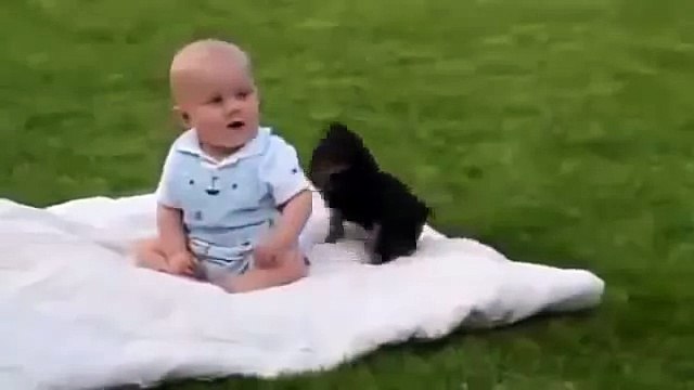 ЩЕНОК ИГРАЕТ С МАЛЫШОМ ! СУПЕР ! Compilation2014 [NEW HD]