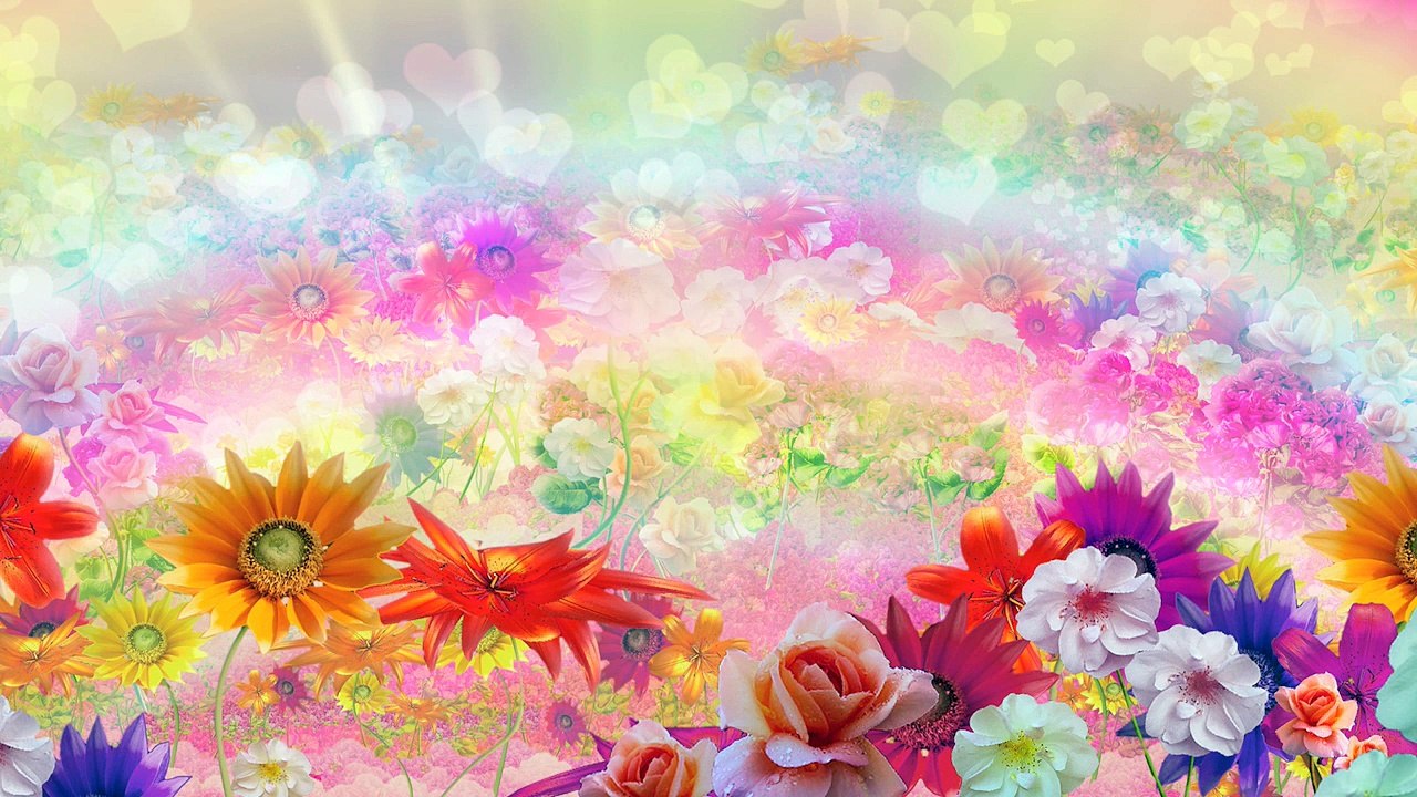 Oggy and the Cockroaches - Olivia (S04E01) Full Episode