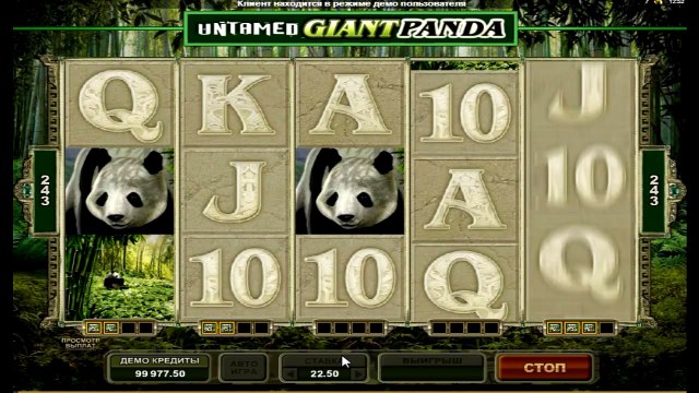 Захватывающий игровой автомат Неукрощенная Панда (untamed giant panda): характеристики и правила