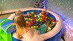 The Winter Ball Pit Show for learning colors childrens educational video