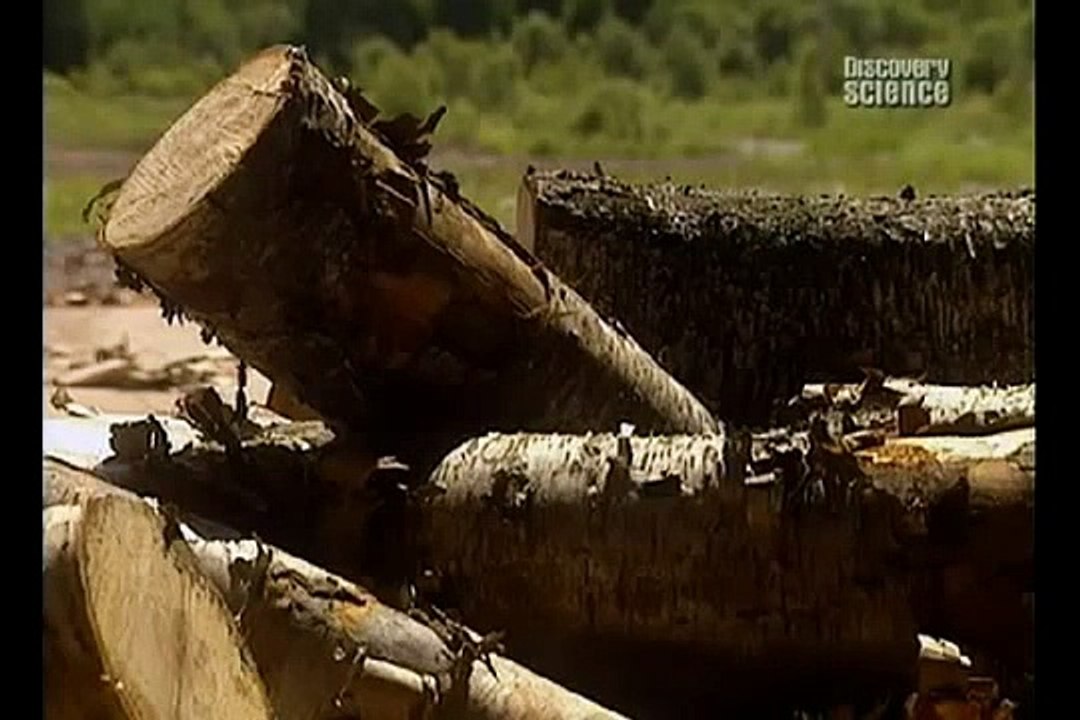 Как это сделано - Зубочистки