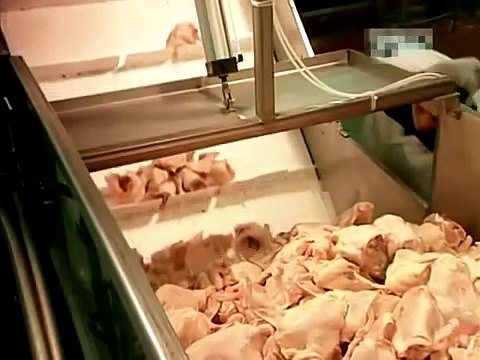 Как это сделано - Жареная курятина