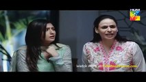 Aik Thi Mishaal LAST Episode 36 Part 1/4