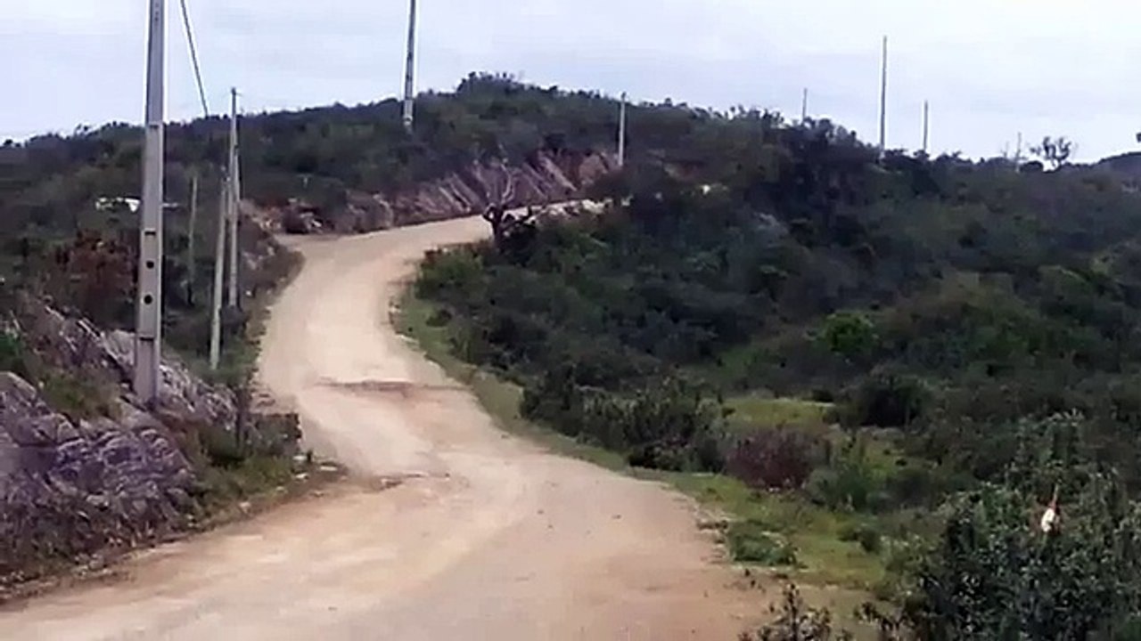 WhatsApp Videos  Sébastien Ogier PUSHING THE LIMITS !!