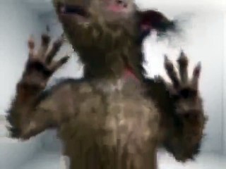 Адская белочка