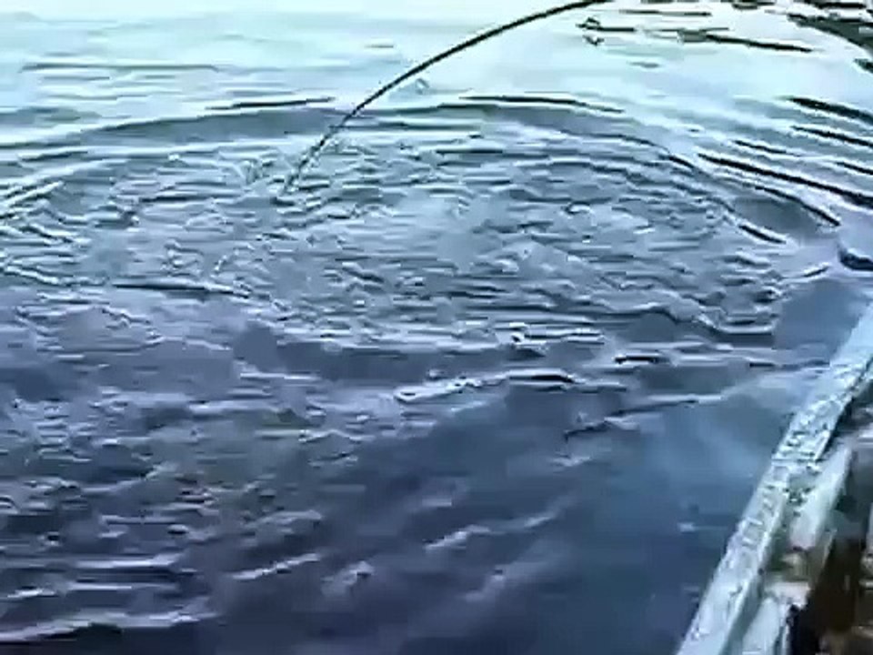 Вот это да! Ахренеть! Щука на щуке, вот это рыбалка!