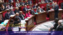 QAG - Situation d'Elsa Lefort : réponse d'H. Désir au député F. Asensi