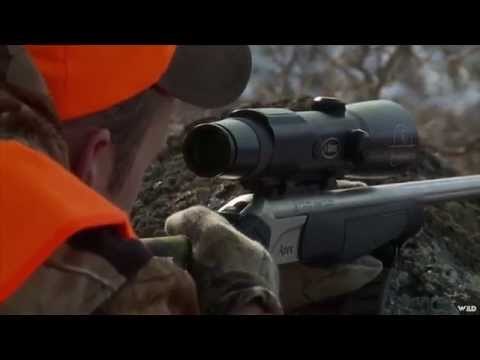 Steves Outdoor Adventures - Colorado Elk