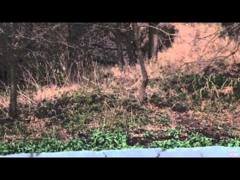 Heartland Bowhunter TV - Silo