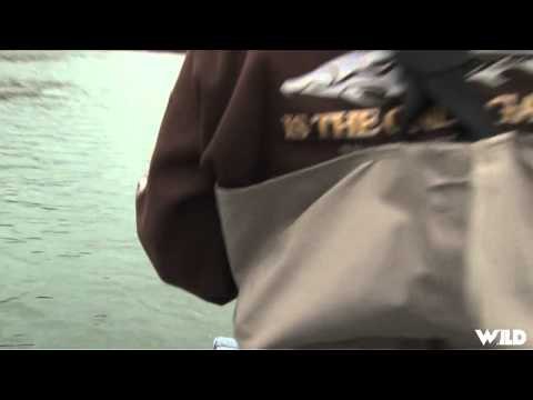 BC Outdoors Sport Fishing - Urban Sturgeon