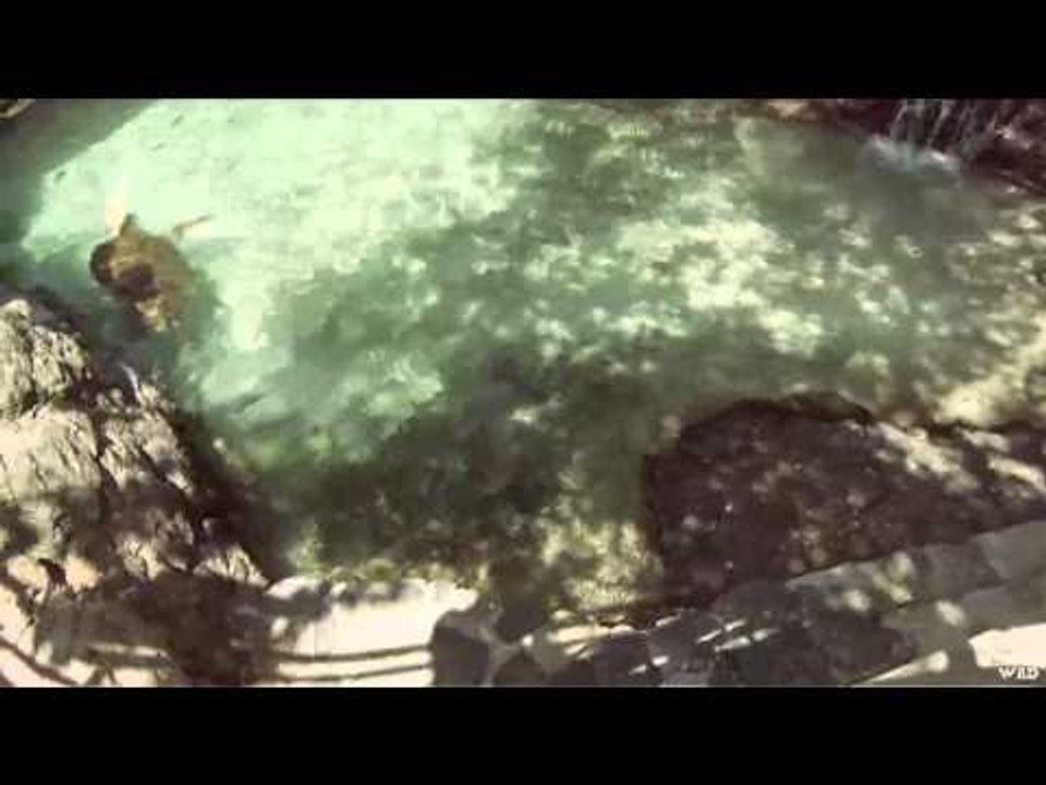 The Virgin Fisherman - Never Before Seen Clips