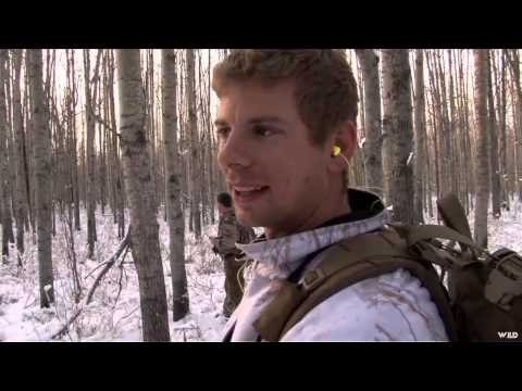 Outdoor Quest TV - Alberta Cow ElkWyoming Antelope