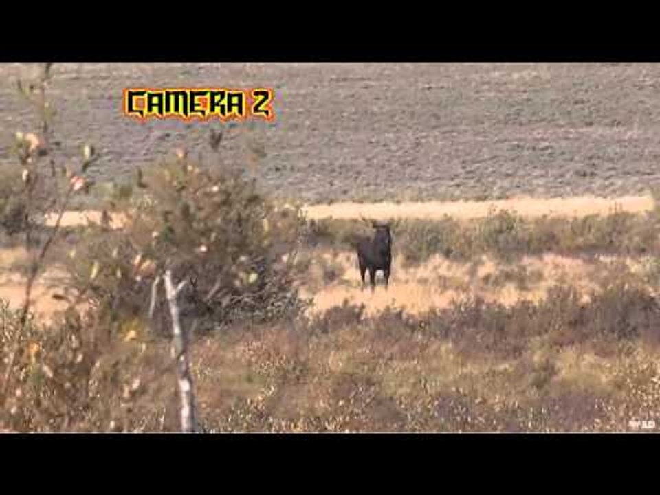 M2D Camos Livin the Dream - Legendary Outfitters Moose and Elk