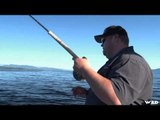 BC Outdoors Sport Fishing - Salmon on the Sunshine Coast