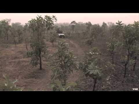 Safari Hunters Journal - Roan