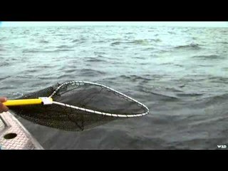 Nice Fish  - Fishing With Friends