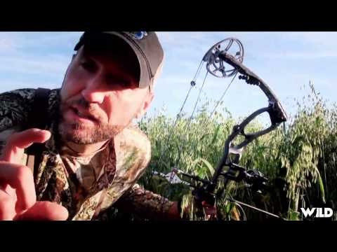 The Canadian Tradition - Field of Dreams