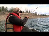Hunt TV - Yukon Moose