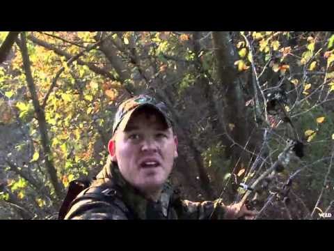 North American Safari - Sooner Boys Whitetail