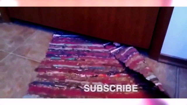 Топ классных видео с прикольными котами!!! Очень интересно !!! Смотреть всем !!!