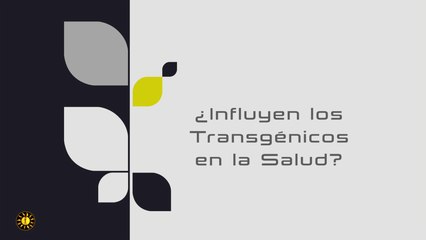 ¿Influyen los transgénicos en la salud?