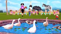 FARM ANIMALS & THEIR SOUNDS - Babies, Toddlers, Preschool (Children Educational Video)