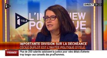 L'ancienne ministre Cécile Duflot opposée à la déchéance de nationalité - Zapping Actu du 10-02-2016
