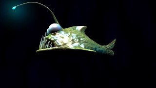 Animated CGI Fish from Glyn Davidson