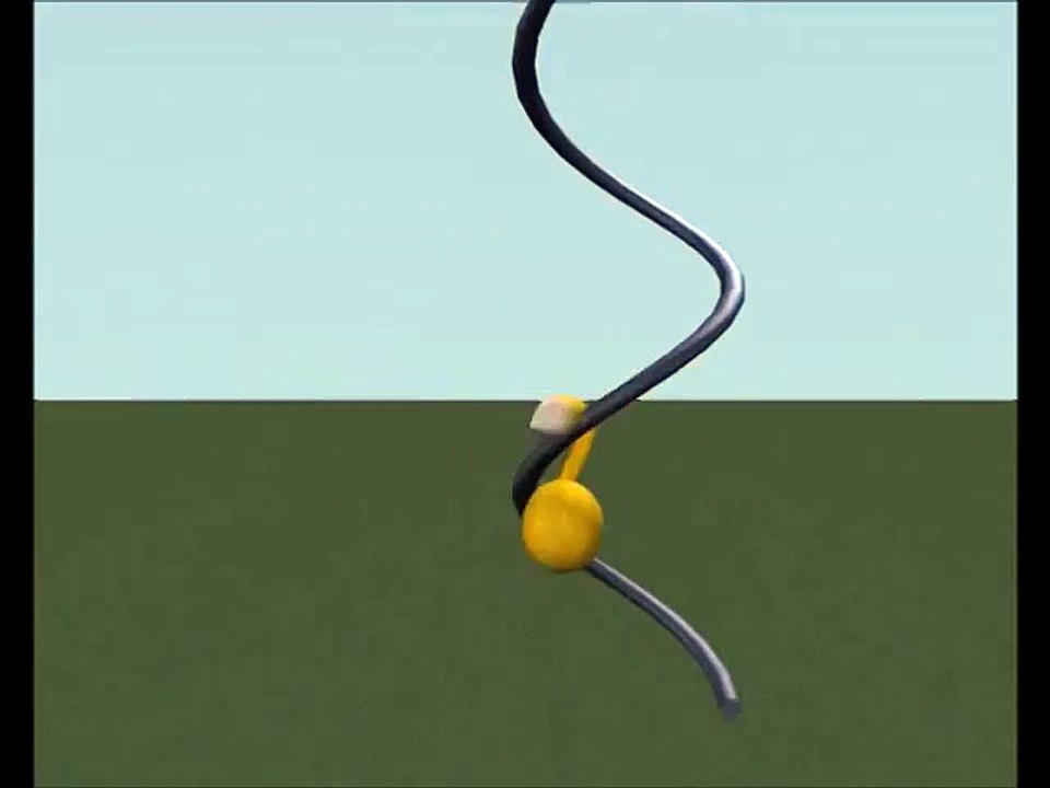 Ball and Tail 3d ANIMATION