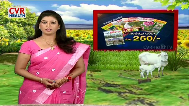 Solar Water Pumping System for Agriculture