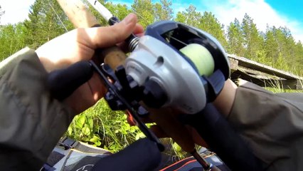 Pike and perch fishing in the pond.