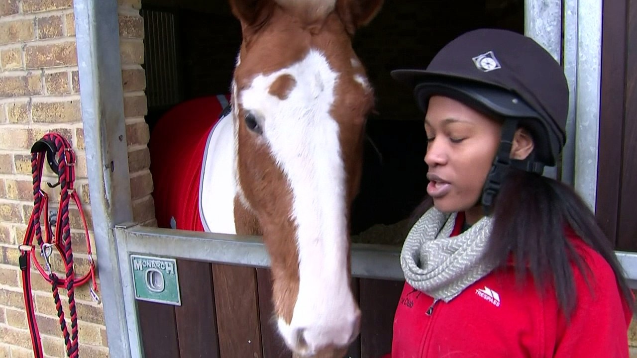 Horses can read human emotions, new study shows