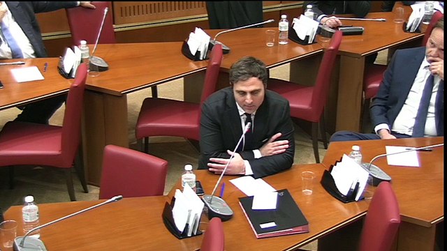 Mission d'information sur les moyens de Daech. Audition de M. Pierre-Jean Luizard, directeur de recherche au CNRS (2/2)